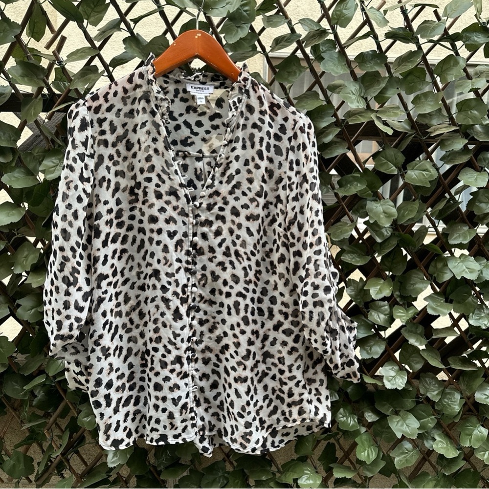 Express blouse